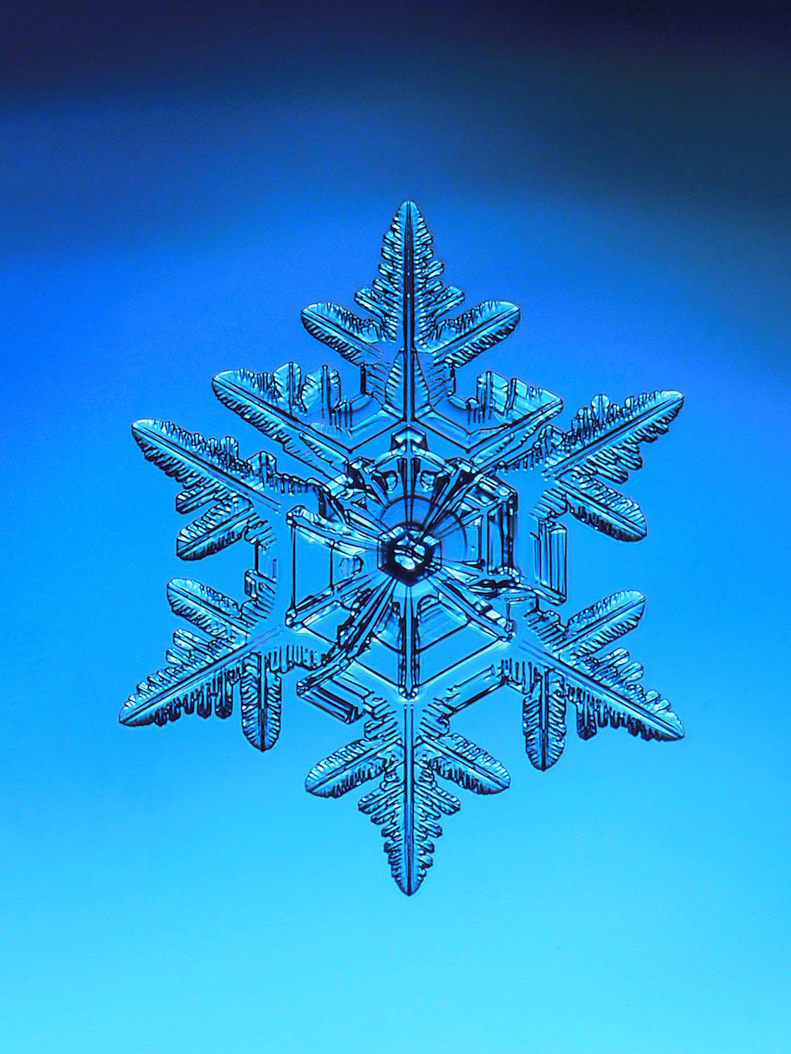 , Борис Риганов