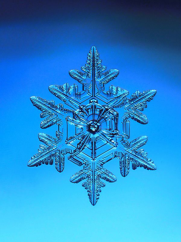 Холодная красота фото превью