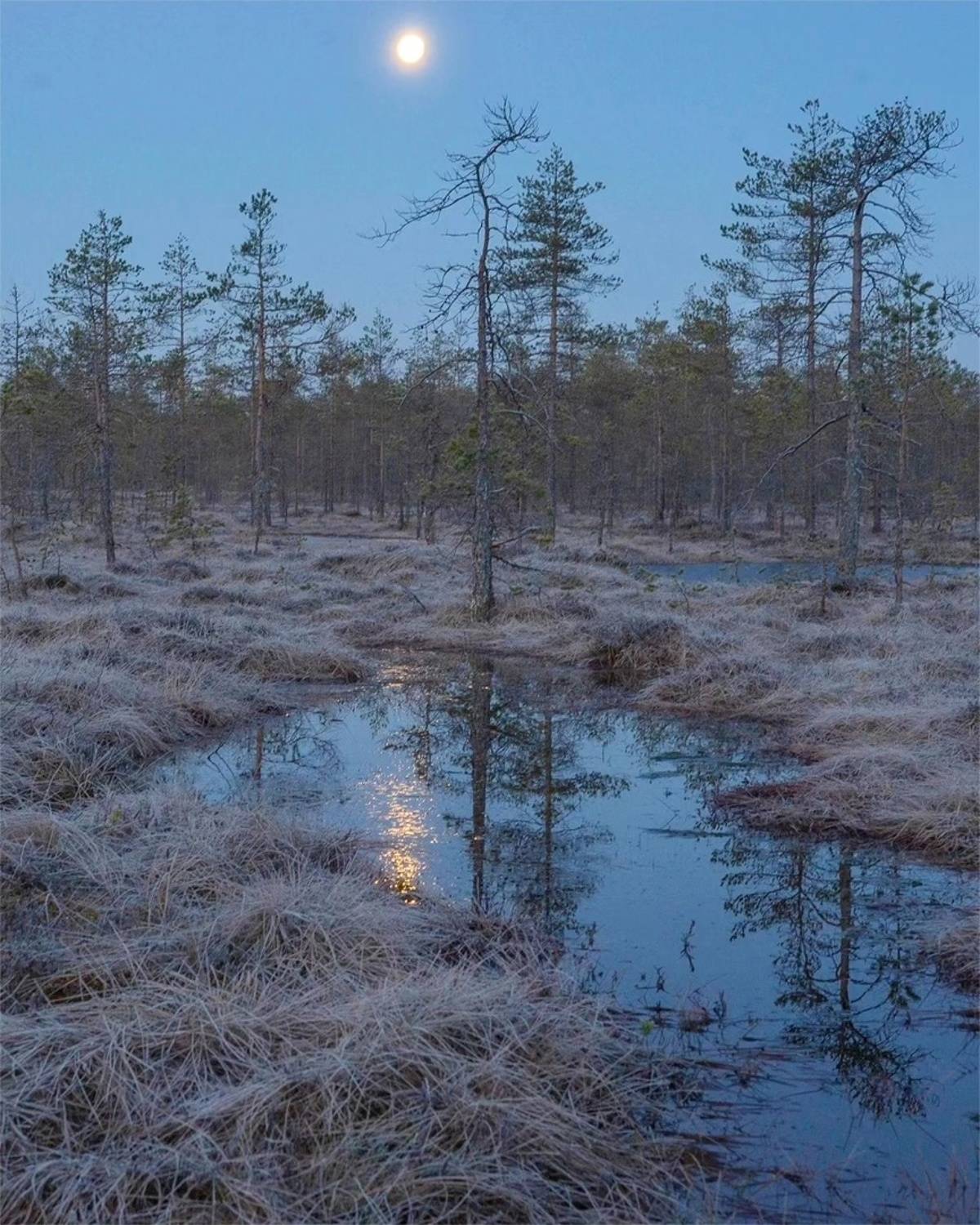 , Петр Косых