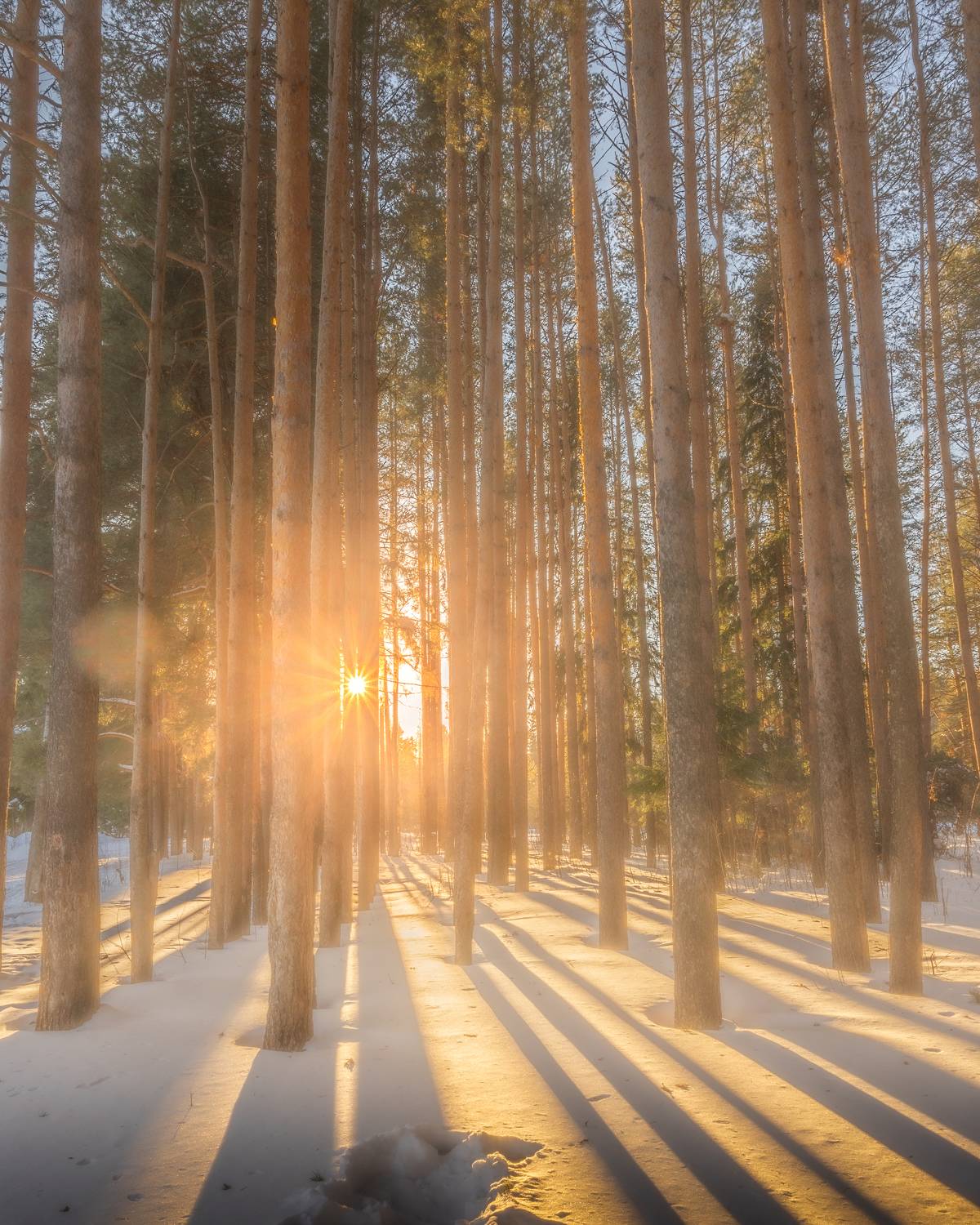 , Евгений Чикишев