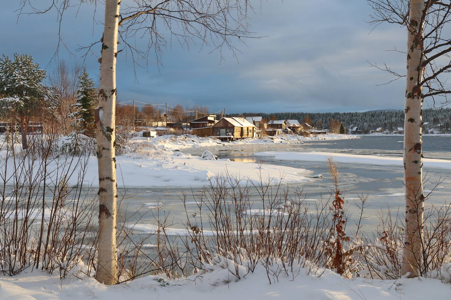 , Добролюбова Тамара
