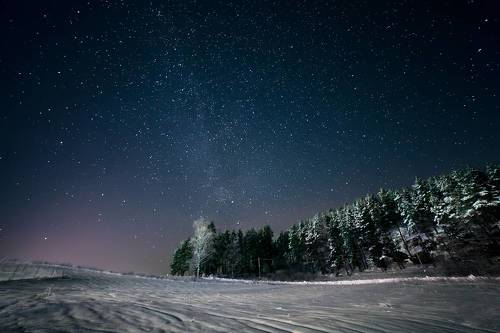 Winter night