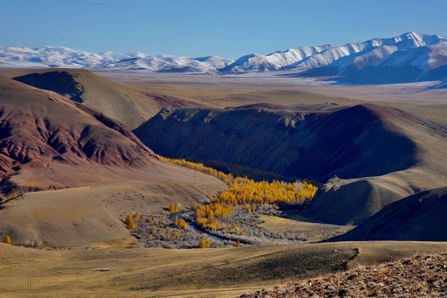 Кош-Агач, Кузнецов Андрей