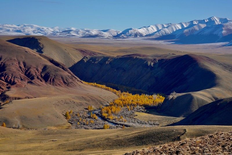 Кош-Агач Утро Октября  фото превью