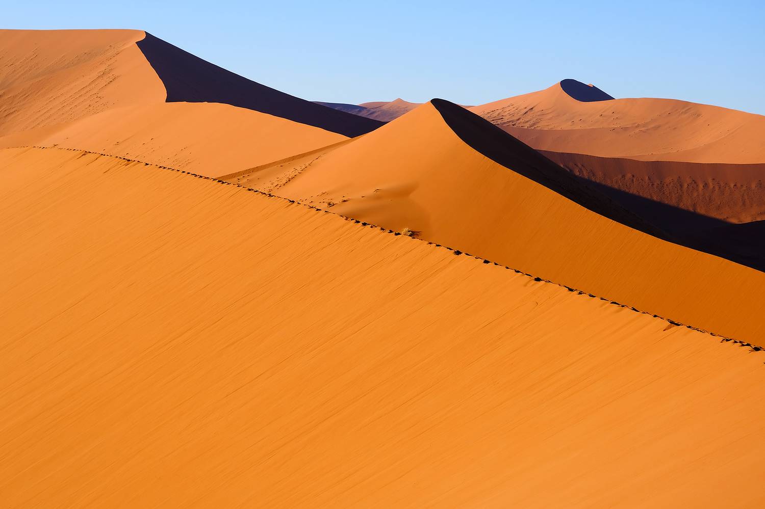 , Худзинская Ирина