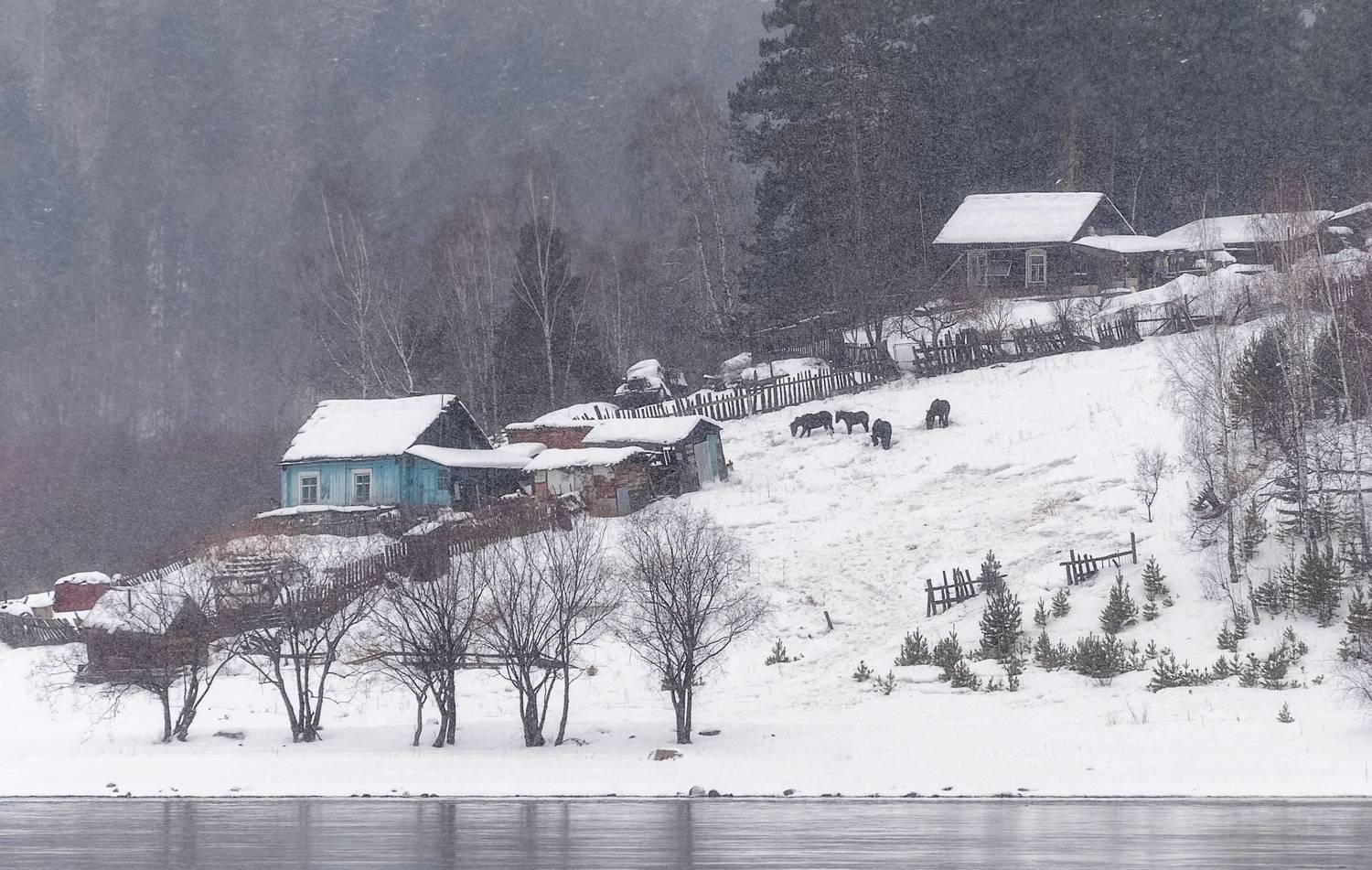 зима, мороз, енисей, туман, берег, лошади, домики, Фомина Марина
