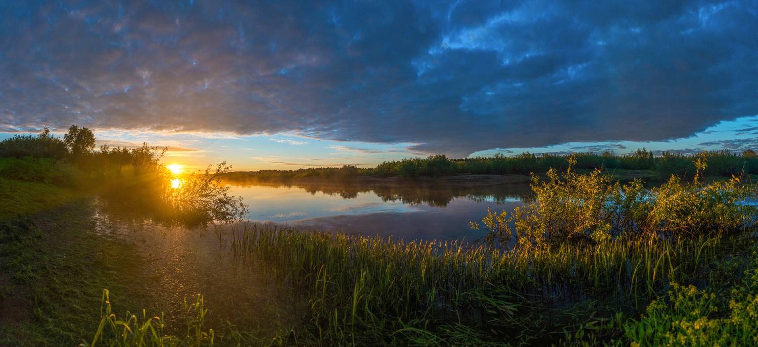 лето, утро, тепло, водоем, река, Вятка, трава, поле, кусты, небо, облака, тучи, солнце, восход, лес, рассвет, панорама, Панагушин Сергей