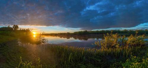 Теплое утро