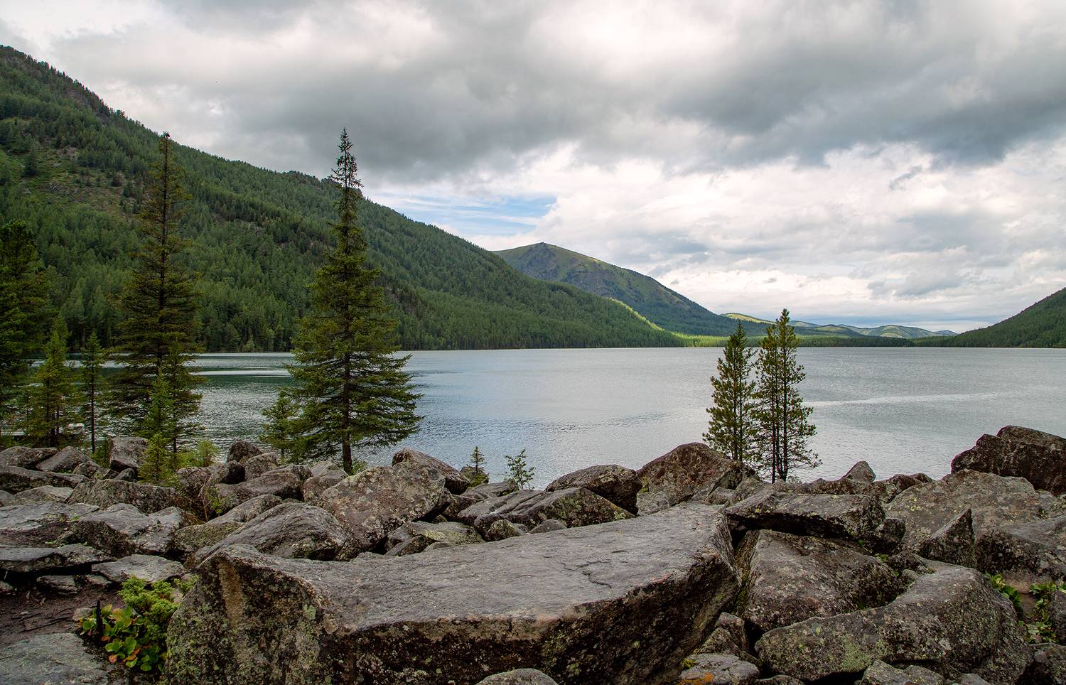 , Евгений Зинов