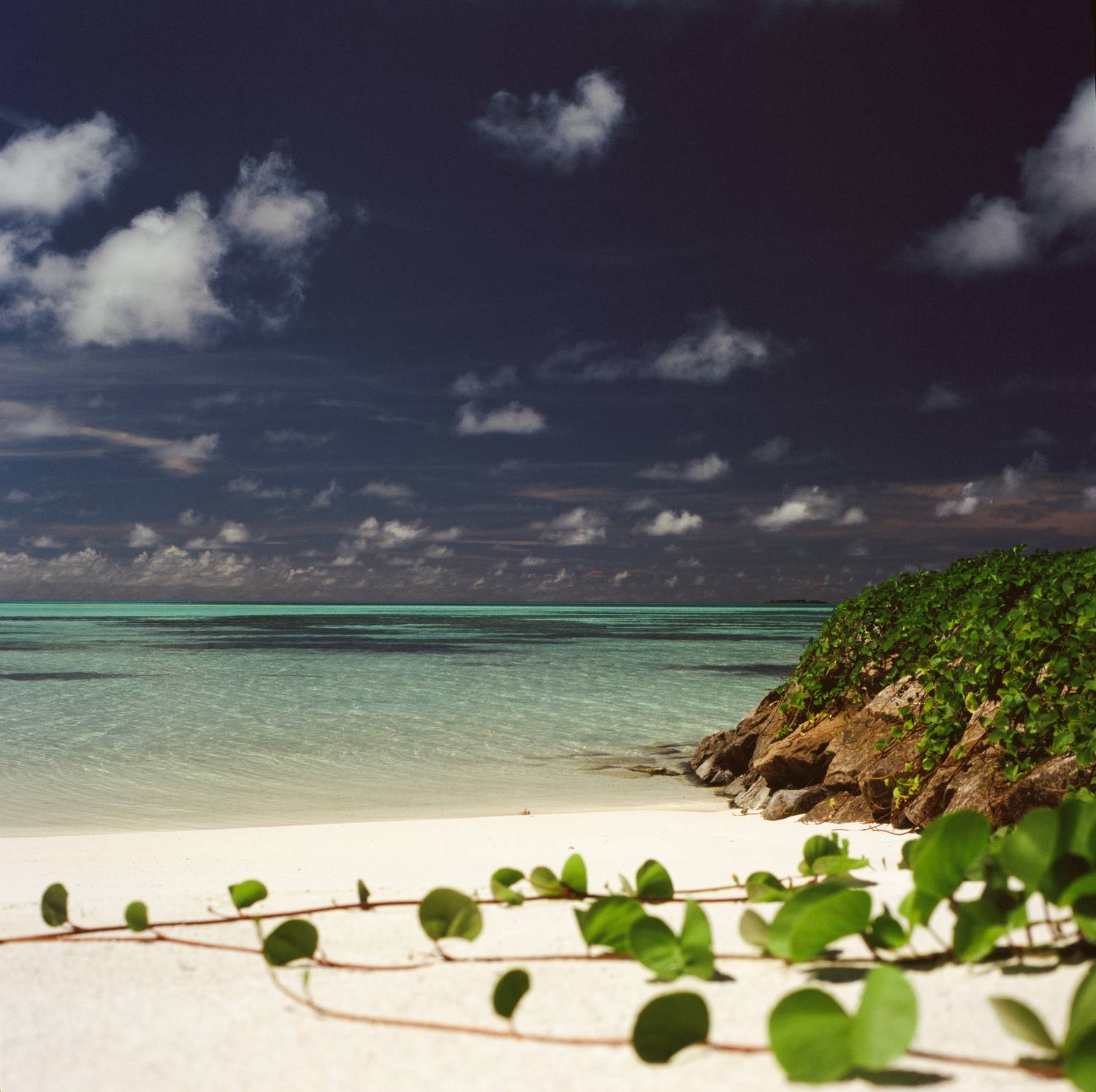 film, analog, analog photo, film photography, пленка, плёночная фотография, medium format, 120mm, 120 film, 6x6, средний формат, bronica, bronica sq-a, Zenzanon, Zenzanon80mm, Fujifilm, Fujichrome, Velvia, Velvia 100, Fujichrome Velvia 100, Fujifilm Velvi, Попов Алексей