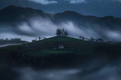 Foggy Dawn