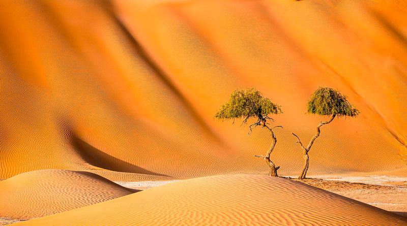 Двойняшки фото превью