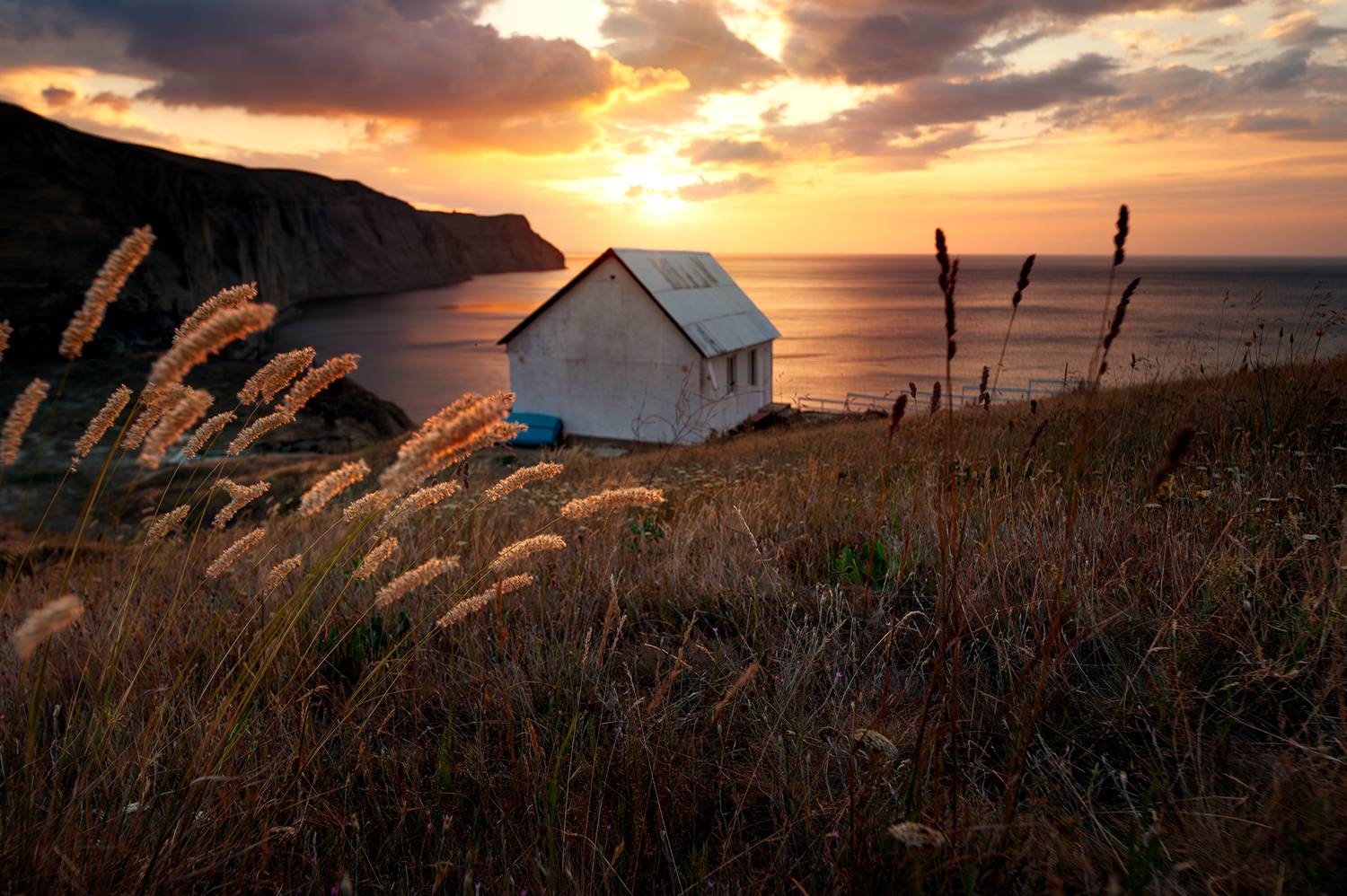 , Васильева Дарья