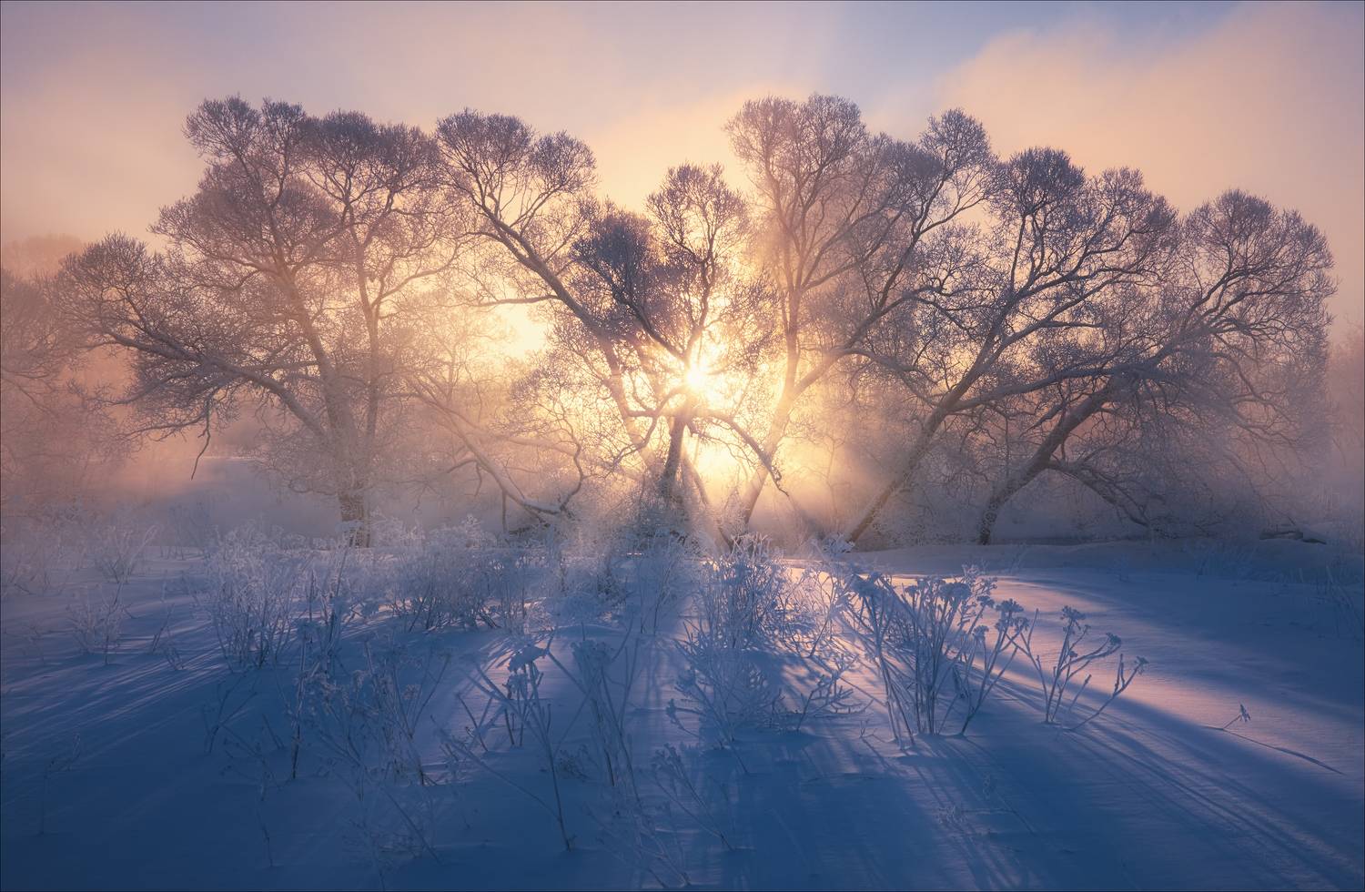 , Богорянов Алексей