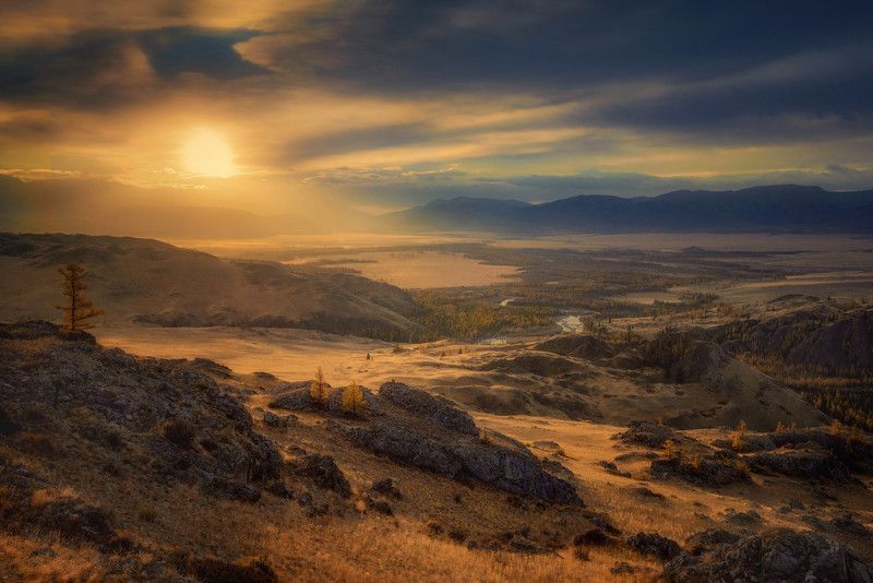 ленивый свет фото превью