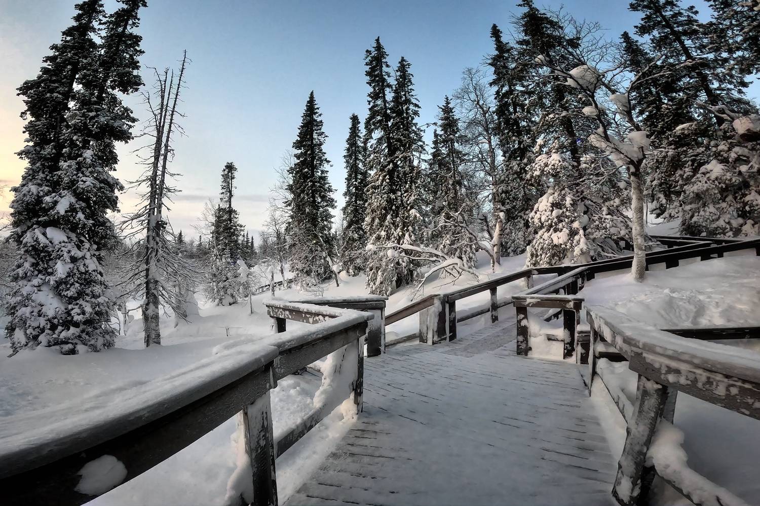 , Алексей Никонов