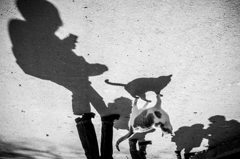 улица, тень, город, люди Отбрасывая тень фото превью