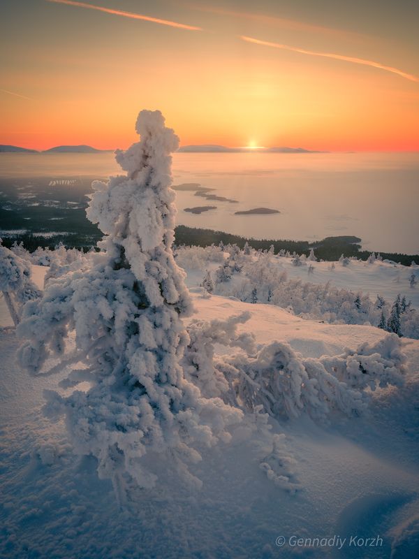 фото превью