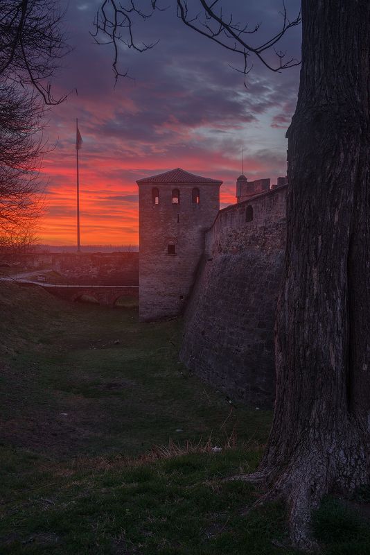 city, landscape, morning  фото превью