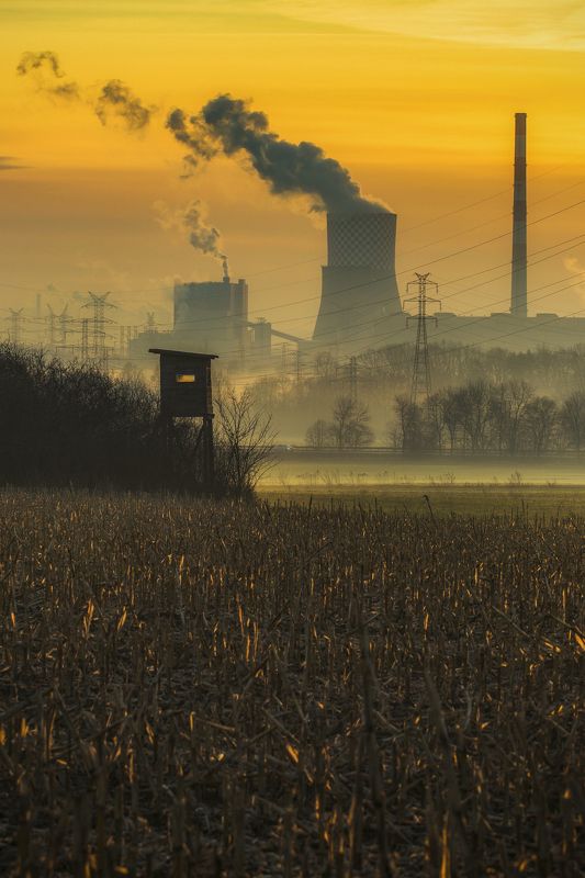 Sky, Electricity, Industry, Cable, Electricity, Rural, Fog, Sunrise, Chimney, Industrial, PowerStation, Landscape, Cityscape, Field, Łagisza Power Station фото превью