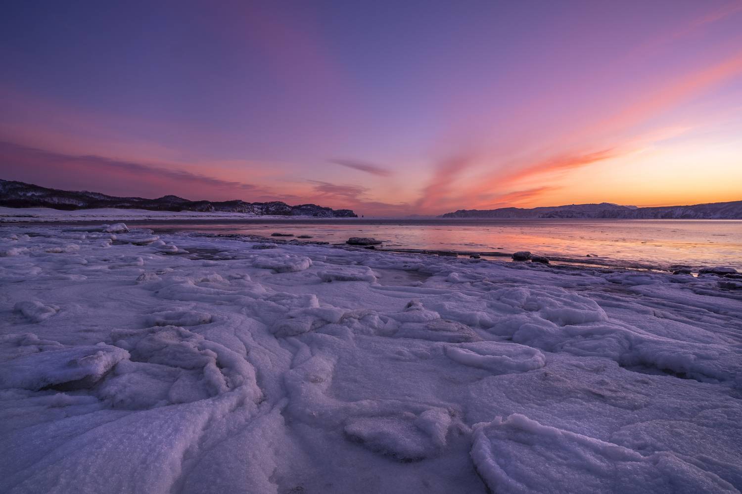 , Наталья Королева