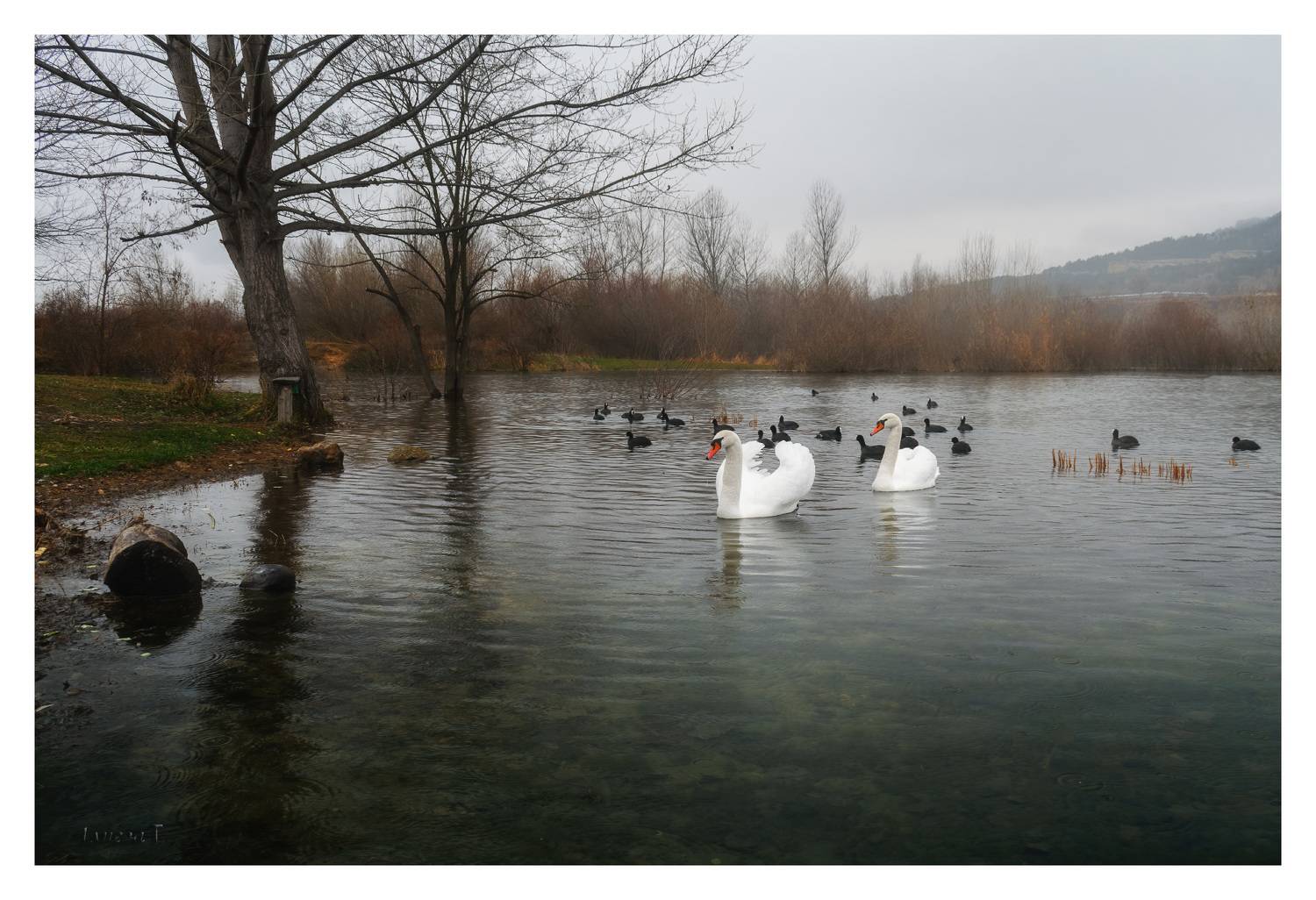 , Алиева Татьяна