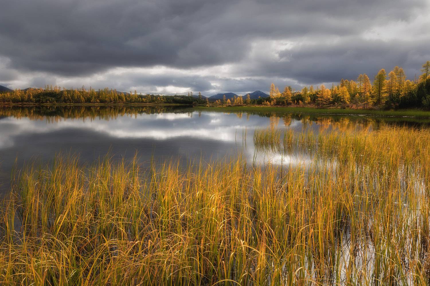 , Морозов Сергей