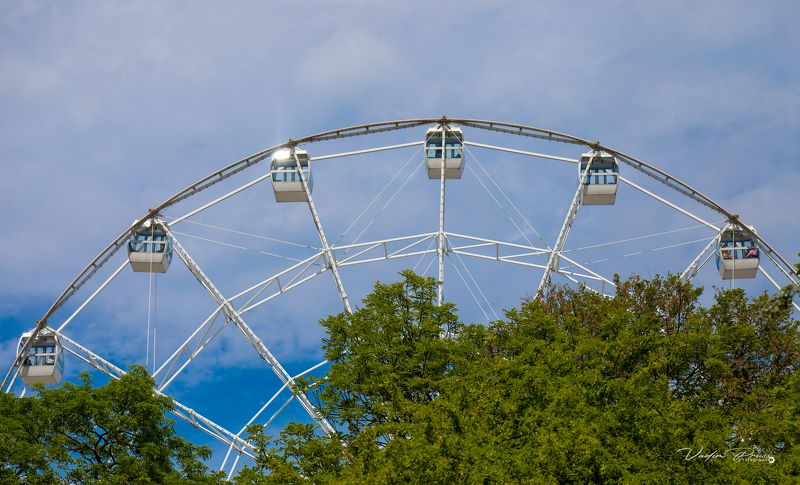 карусели, конструкция, стрит, лето, отдых, Зеленоградск, позитив, Россия, небо, деревья, carousels, construction, street, summer, recreation, Zelenogradsk, positive, Russia, sky, trees Чёртово колесо. фото превью