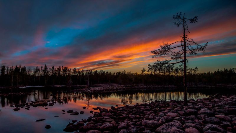 Про камешки, сосны и воду... фото превью