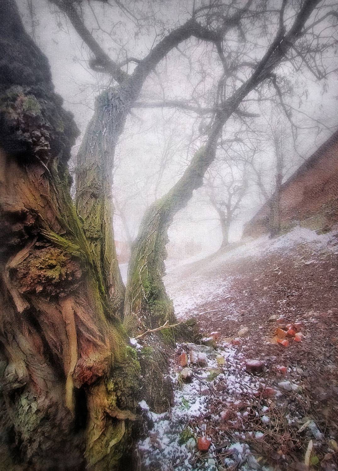 , Буглак Инна