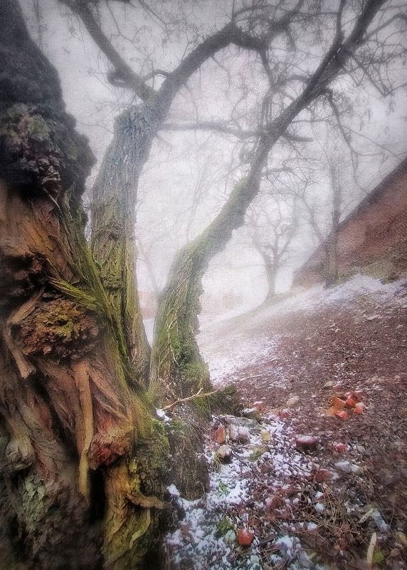 Под занавес зимы фото превью