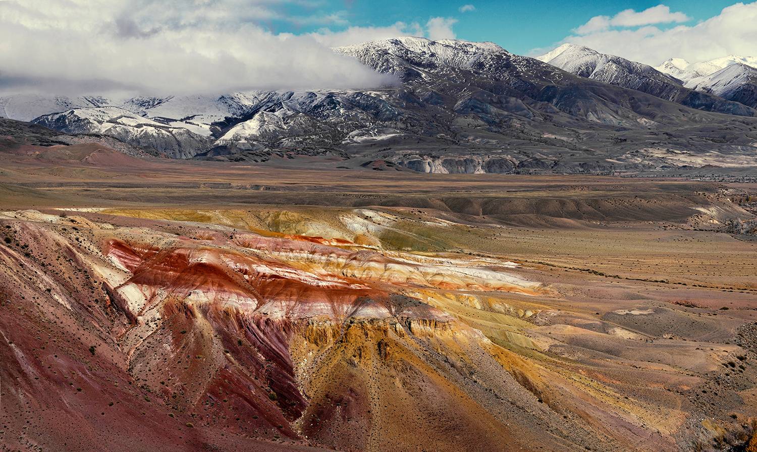 , Алексей Родак