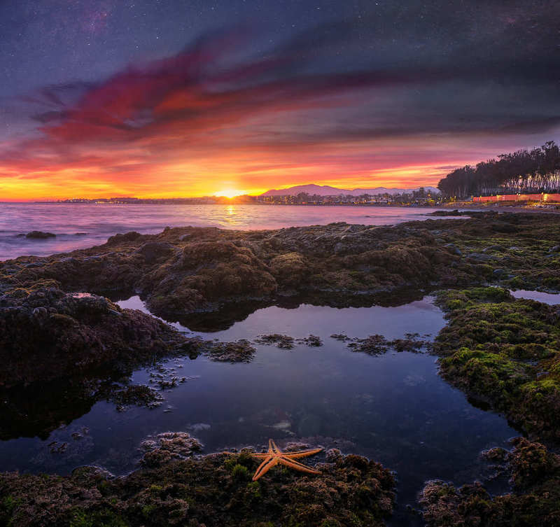 stars beach nebula starfish sunset rocks  starfish looking to the stars фото превью