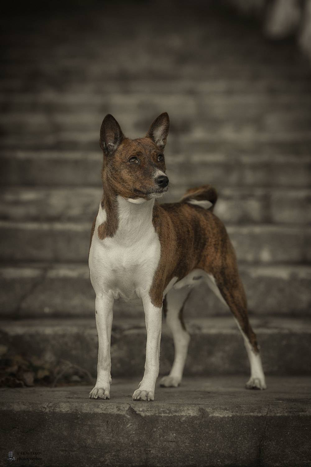 , Юрий Бутаков