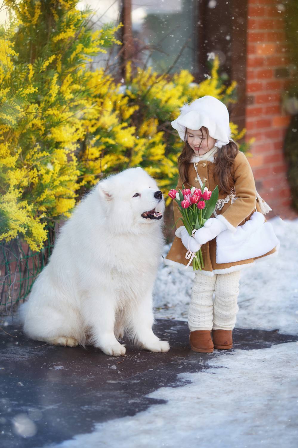 , Тамара Дмитриева
