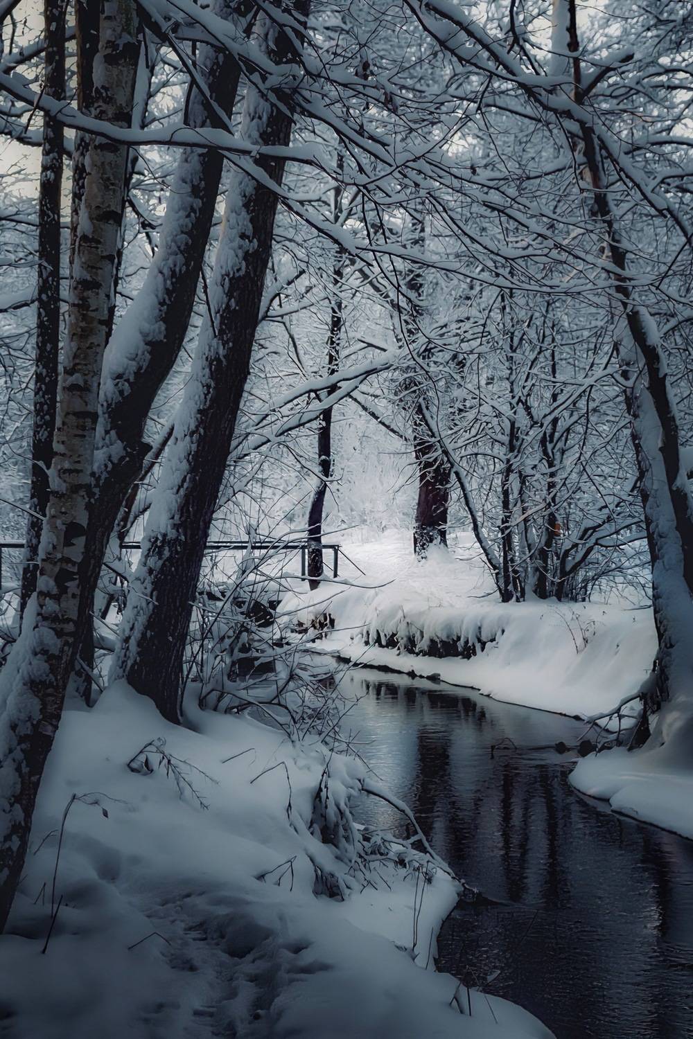 пейзаж, landscape, nature, природа, зима, winter, ручей, лес, forest, Julia Kaissa