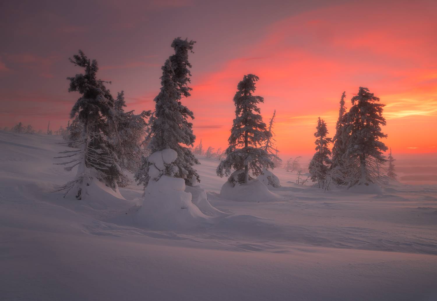 , Истомин Виталий