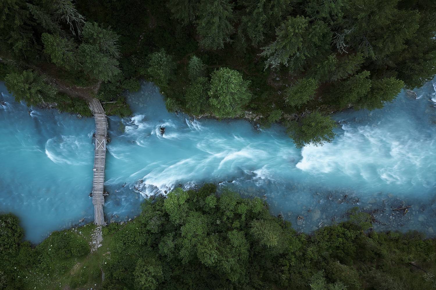 , Загруев Михаил