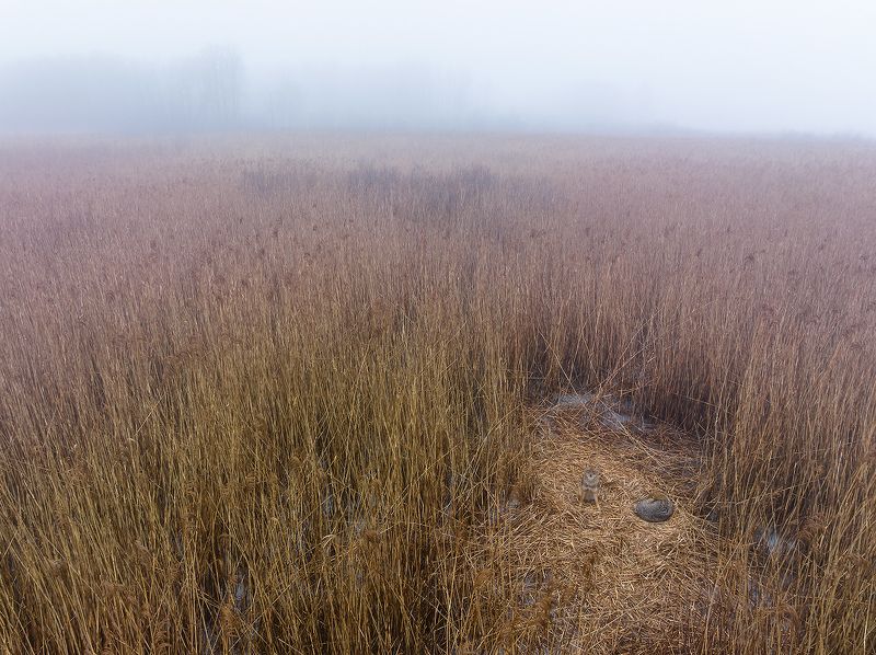 Ты ложись и спокойно спи, а я посторожу... фото превью
