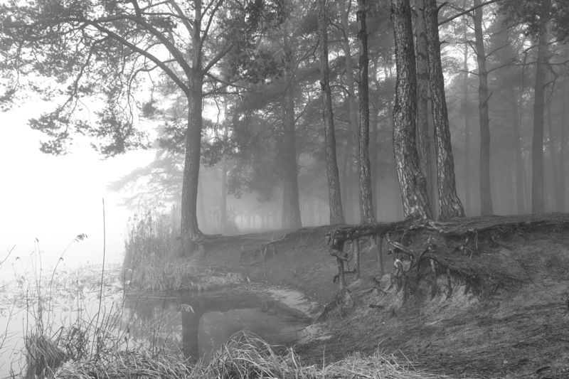 Туман фото превью