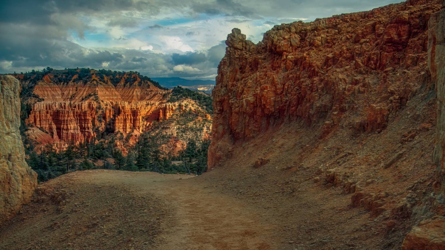 , Шварцман Евгений