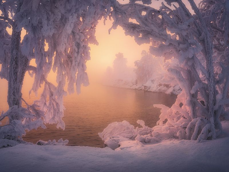 Растворяясь в морозном тумане фото превью