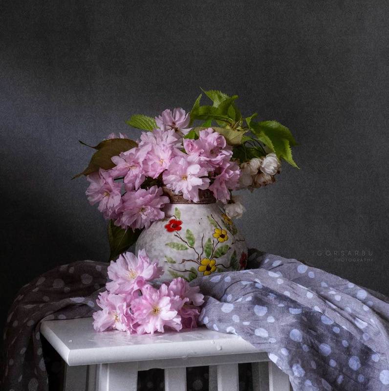 Sakura фото превью