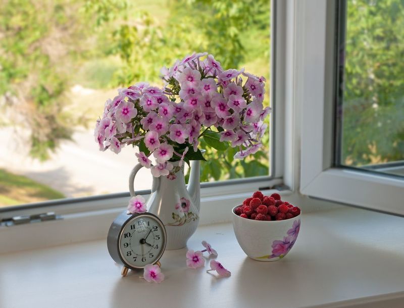 Было лето фото превью