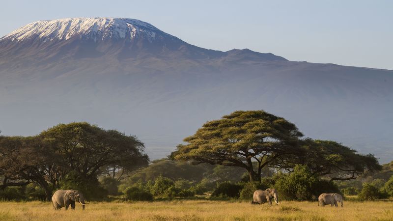The Snows of Kilimanjaro фото превью