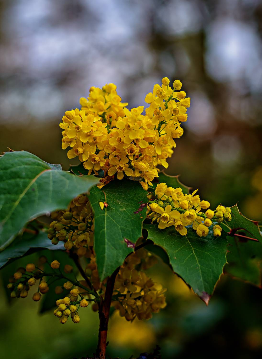 , Владимир Гамаюнов
