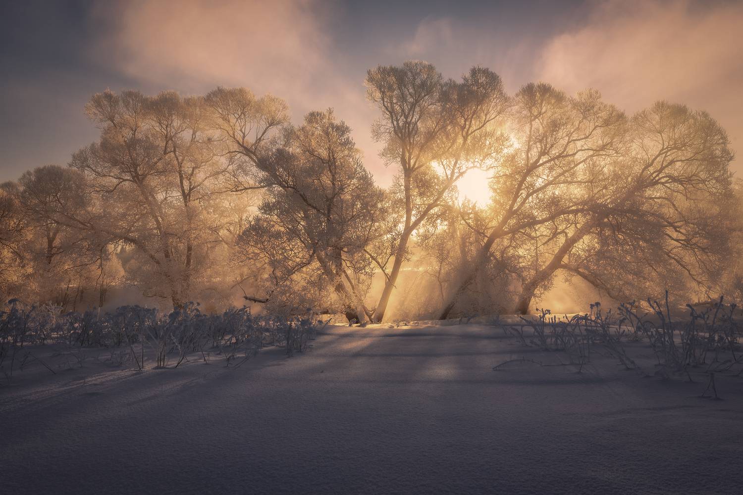 истра, Елена Гусева