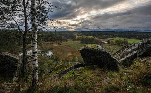 Родные просторы