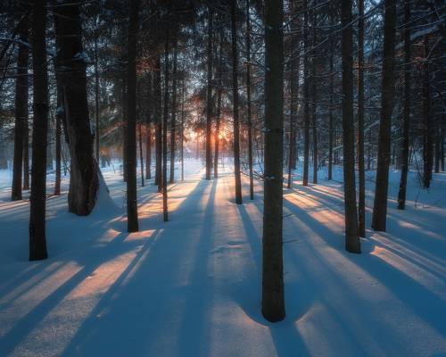 На исходе дня