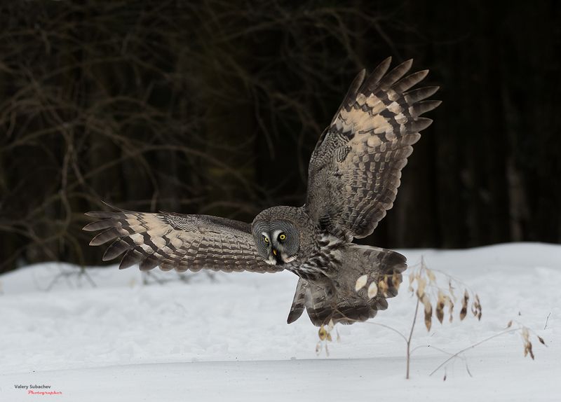 ... фото превью